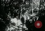 Image of Viet Cong digging trenches Vietnam, 1965, second 17 stock footage video 65675032687