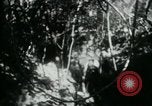 Image of Viet Cong digging trenches Vietnam, 1965, second 18 stock footage video 65675032687