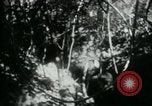 Image of Viet Cong digging trenches Vietnam, 1965, second 19 stock footage video 65675032687
