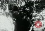 Image of Viet Cong digging trenches Vietnam, 1965, second 21 stock footage video 65675032687