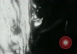 Image of Viet Cong digging trenches Vietnam, 1965, second 25 stock footage video 65675032687