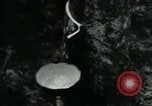 Image of Rural Vietnamese tapping rubber trees Vietnam, 1965, second 3 stock footage video 65675032688