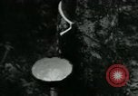 Image of Rural Vietnamese tapping rubber trees Vietnam, 1965, second 6 stock footage video 65675032688
