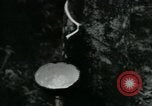 Image of Rural Vietnamese tapping rubber trees Vietnam, 1965, second 7 stock footage video 65675032688