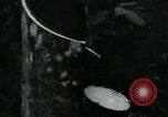 Image of Rural Vietnamese tapping rubber trees Vietnam, 1965, second 10 stock footage video 65675032688