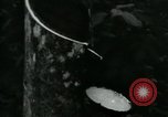 Image of Rural Vietnamese tapping rubber trees Vietnam, 1965, second 15 stock footage video 65675032688