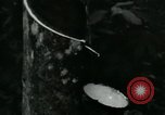 Image of Rural Vietnamese tapping rubber trees Vietnam, 1965, second 16 stock footage video 65675032688
