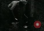 Image of Rural Vietnamese tapping rubber trees Vietnam, 1965, second 17 stock footage video 65675032688