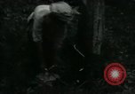 Image of Rural Vietnamese tapping rubber trees Vietnam, 1965, second 19 stock footage video 65675032688