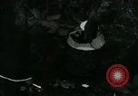 Image of Rural Vietnamese tapping rubber trees Vietnam, 1965, second 22 stock footage video 65675032688