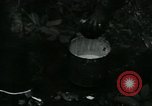 Image of Rural Vietnamese tapping rubber trees Vietnam, 1965, second 23 stock footage video 65675032688
