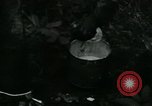 Image of Rural Vietnamese tapping rubber trees Vietnam, 1965, second 24 stock footage video 65675032688