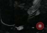 Image of Rural Vietnamese tapping rubber trees Vietnam, 1965, second 25 stock footage video 65675032688