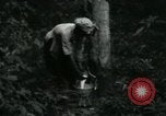 Image of Rural Vietnamese tapping rubber trees Vietnam, 1965, second 31 stock footage video 65675032688