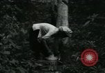 Image of Rural Vietnamese tapping rubber trees Vietnam, 1965, second 32 stock footage video 65675032688