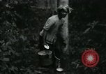 Image of Rural Vietnamese tapping rubber trees Vietnam, 1965, second 33 stock footage video 65675032688
