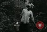 Image of Rural Vietnamese tapping rubber trees Vietnam, 1965, second 34 stock footage video 65675032688