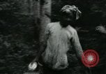 Image of Rural Vietnamese tapping rubber trees Vietnam, 1965, second 35 stock footage video 65675032688