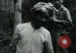 Image of Rural Vietnamese tapping rubber trees Vietnam, 1965, second 36 stock footage video 65675032688