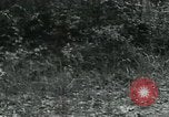 Image of Rural Vietnamese tapping rubber trees Vietnam, 1965, second 38 stock footage video 65675032688