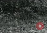 Image of Rural Vietnamese tapping rubber trees Vietnam, 1965, second 39 stock footage video 65675032688