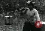 Image of Rural Vietnamese tapping rubber trees Vietnam, 1965, second 42 stock footage video 65675032688