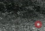 Image of Rural Vietnamese tapping rubber trees Vietnam, 1965, second 44 stock footage video 65675032688