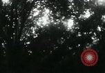 Image of Rural Vietnamese tapping rubber trees Vietnam, 1965, second 48 stock footage video 65675032688