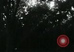 Image of Rural Vietnamese tapping rubber trees Vietnam, 1965, second 49 stock footage video 65675032688