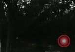 Image of Rural Vietnamese tapping rubber trees Vietnam, 1965, second 50 stock footage video 65675032688