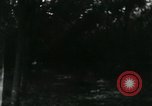 Image of Rural Vietnamese tapping rubber trees Vietnam, 1965, second 51 stock footage video 65675032688