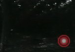Image of Rural Vietnamese tapping rubber trees Vietnam, 1965, second 52 stock footage video 65675032688