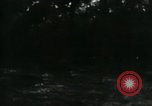 Image of Rural Vietnamese tapping rubber trees Vietnam, 1965, second 53 stock footage video 65675032688