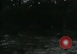 Image of Rural Vietnamese tapping rubber trees Vietnam, 1965, second 54 stock footage video 65675032688