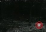 Image of Rural Vietnamese tapping rubber trees Vietnam, 1965, second 55 stock footage video 65675032688