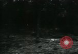 Image of Rural Vietnamese tapping rubber trees Vietnam, 1965, second 56 stock footage video 65675032688