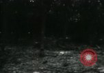 Image of Rural Vietnamese tapping rubber trees Vietnam, 1965, second 57 stock footage video 65675032688