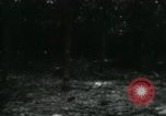 Image of Rural Vietnamese tapping rubber trees Vietnam, 1965, second 58 stock footage video 65675032688