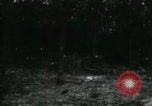 Image of Rural Vietnamese tapping rubber trees Vietnam, 1965, second 59 stock footage video 65675032688