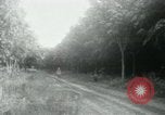 Image of Rural Vietnamese tapping rubber trees Vietnam, 1965, second 61 stock footage video 65675032688