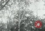 Image of Vietnamese people leaving a damaged Viet Cong camp Vietnam, 1965, second 52 stock footage video 65675032689
