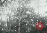 Image of Vietnamese people leaving a damaged Viet Cong camp Vietnam, 1965, second 53 stock footage video 65675032689