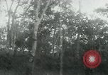 Image of Vietnamese people leaving a damaged Viet Cong camp Vietnam, 1965, second 54 stock footage video 65675032689