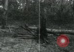 Image of Vietnamese people leaving a damaged Viet Cong camp Vietnam, 1965, second 57 stock footage video 65675032689