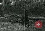 Image of Vietnamese people leaving a damaged Viet Cong camp Vietnam, 1965, second 58 stock footage video 65675032689