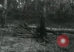 Image of Vietnamese people leaving a damaged Viet Cong camp Vietnam, 1965, second 59 stock footage video 65675032689