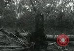 Image of Vietnamese people leaving a damaged Viet Cong camp Vietnam, 1965, second 61 stock footage video 65675032689