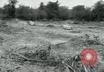 Image of Viet Cong indoctrination activities Vietnam, 1965, second 29 stock footage video 65675032690