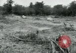 Image of Viet Cong indoctrination activities Vietnam, 1965, second 30 stock footage video 65675032690