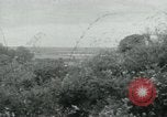 Immagine di Il Viet Cong impostazione di mitragliatrice e immettendo le gallerie nella giungla Il Vietnam, 1965, secondo 4 filmato di repertorio 65675032691